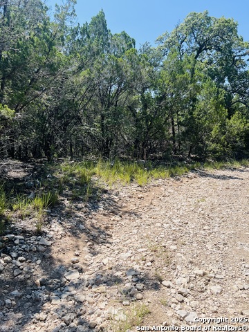 Listing photo id 20 for 0 Cr 408  