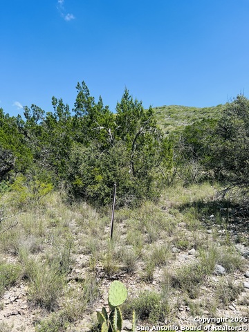 Listing photo id 23 for 0 Cr 408  