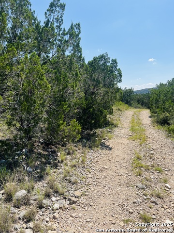 Listing photo id 24 for 0 Cr 408  