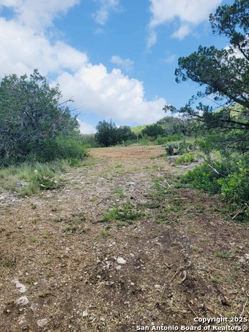 Listing photo id 2 for 0 Cr 408  