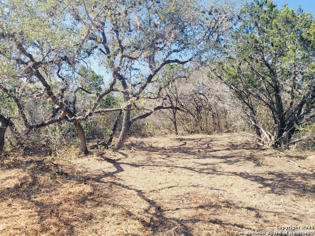 Listing photo id 4 for 0 Cr 408  