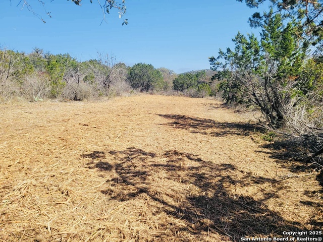 Listing photo id 6 for 0 Cr 408  