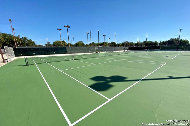 Image 41 of 43 For 319 Pine N