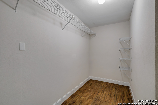 Image 18 of 37 For 12627 Mexican Plum