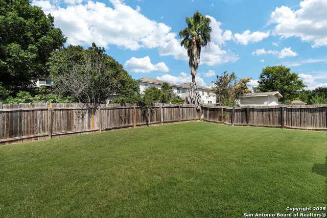 Image 20 of 37 For 12627 Mexican Plum