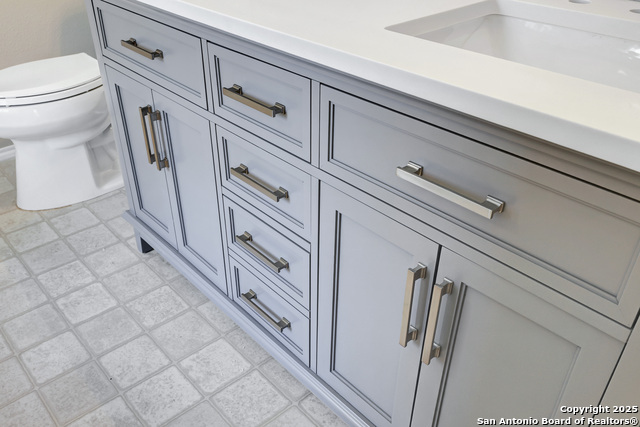 Image 24 of 37 For 12627 Mexican Plum