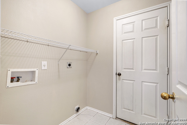 Image 30 of 37 For 12627 Mexican Plum