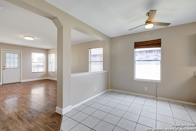 Image 8 of 37 For 12627 Mexican Plum