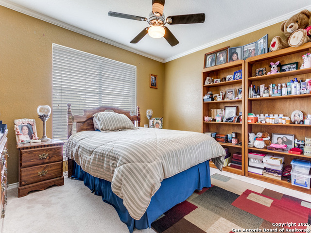 Listing photo id 23 for 10702 Diamond Rock
