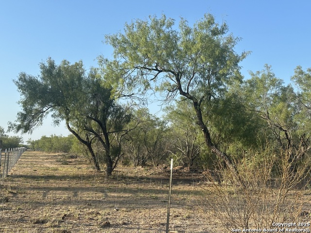 Image 7 of 17 For 992 Jordan  