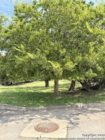 Image 2 of 8 For Lot 10 White Tail Ln