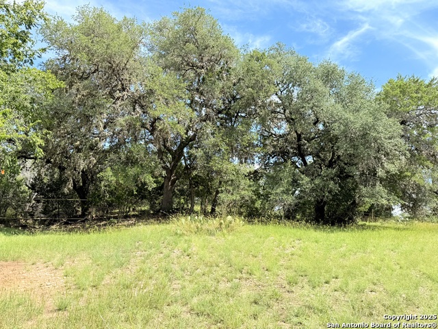 Image 5 of 8 For Lot 10 White Tail Ln