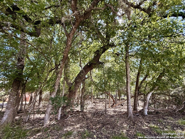 Image 2 of 7 For Lot 12 White Tail Ln