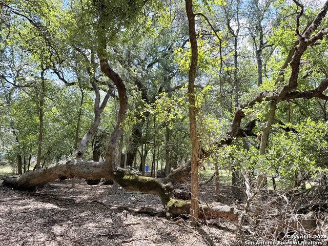 Image 4 of 7 For Lot 12 White Tail Ln