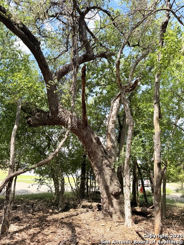 Image 5 of 7 For Lot 12 White Tail Ln