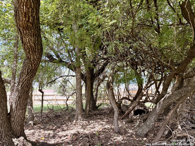 Image 6 of 8 For Lot 14 White Tail Ln