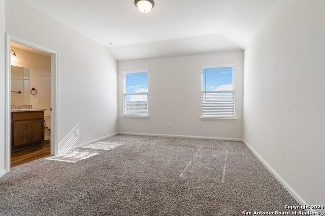 Image 8 of 19 For 13822 Enzo Gate  102