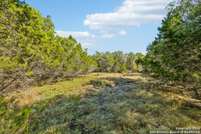 Image 4 of 8 For 00 County Road 260 W
