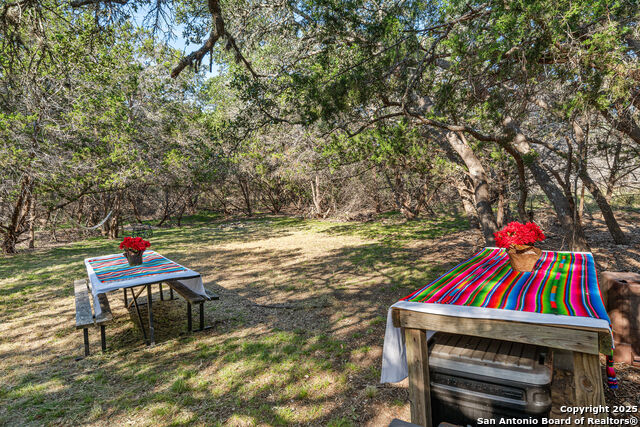 Image 22 of 43 For 46 Lewis