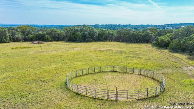 Image 26 of 43 For 46 Lewis