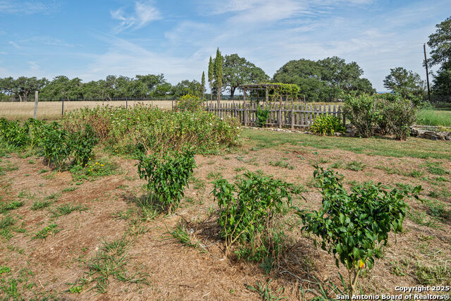 Image 34 of 43 For 46 Lewis