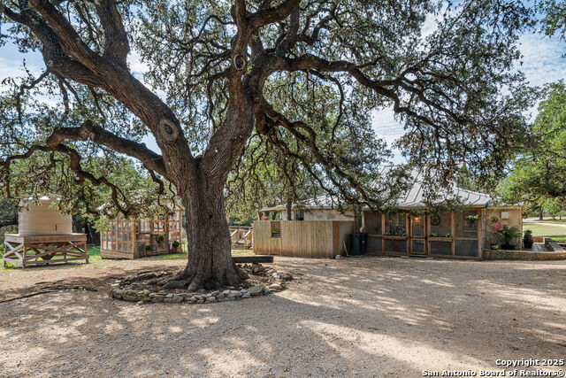 Image 4 of 43 For 46 Lewis