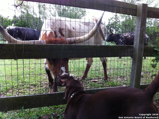 Image 57 of 65 For 29746 Fm 3009