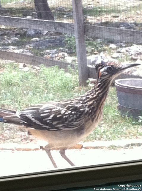 Image 58 of 65 For 29746 Fm 3009