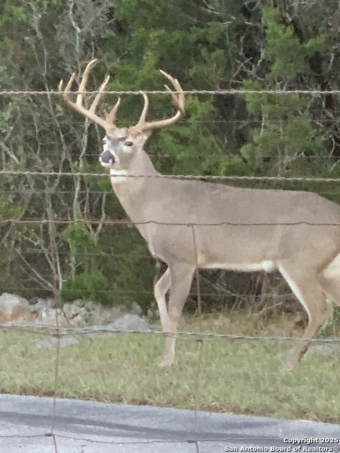 Image 59 of 65 For 29746 Fm 3009