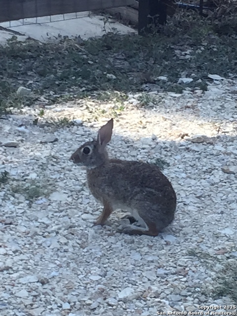 Image 61 of 65 For 29746 Fm 3009