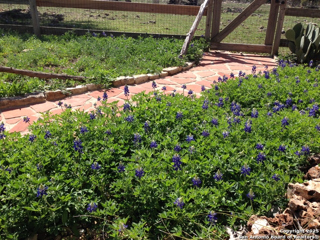 Image 62 of 65 For 29746 Fm 3009