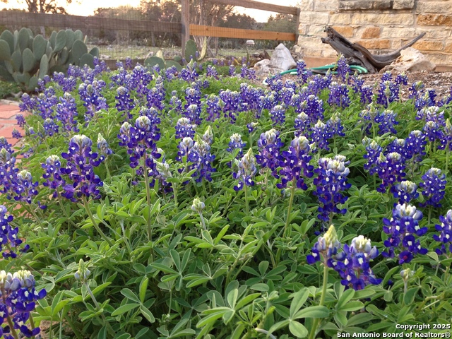 Image 63 of 65 For 29746 Fm 3009