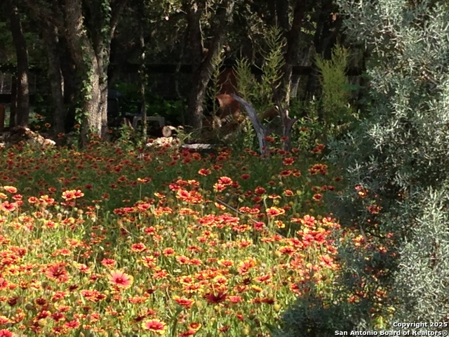 Image 64 of 65 For 29746 Fm 3009