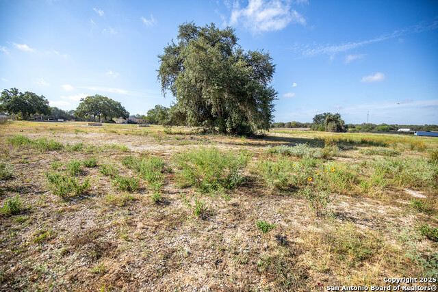 Listing photo id 11 for 23383 Mathis