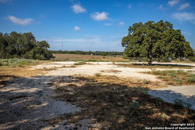 Listing photo id 18 for 23383 Mathis