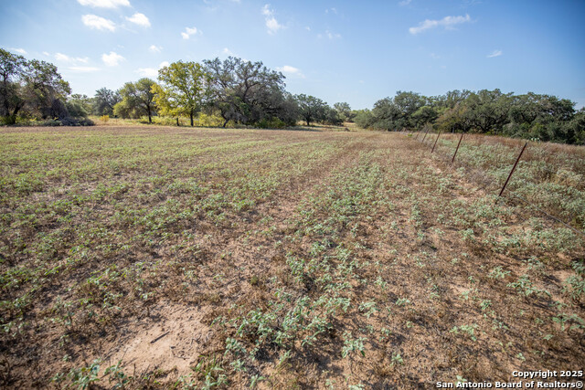 Listing photo id 33 for 23383 Mathis