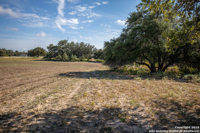 Listing photo id 41 for 23383 Mathis