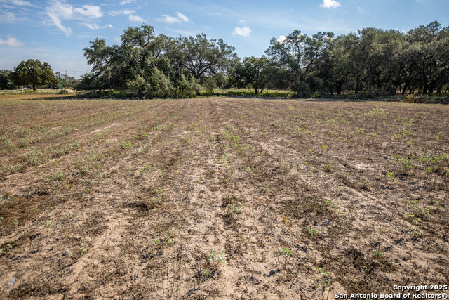 Listing photo id 42 for 23383 Mathis