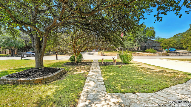 Image 3 of 52 For 530 Oakwood Blvd.