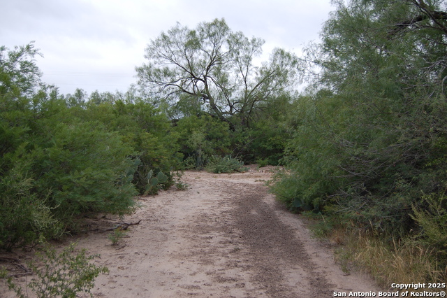 Listing photo id 9 for 634 West  