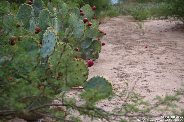 Listing photo id 10 for 634 West  