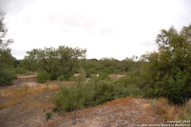 Listing photo id 13 for 634 West  