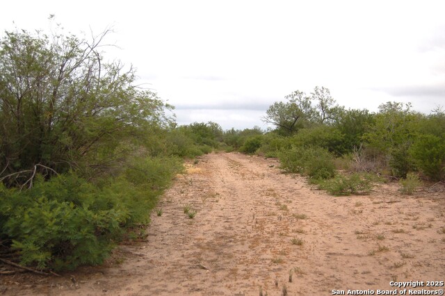 Listing photo id 14 for 634 West  