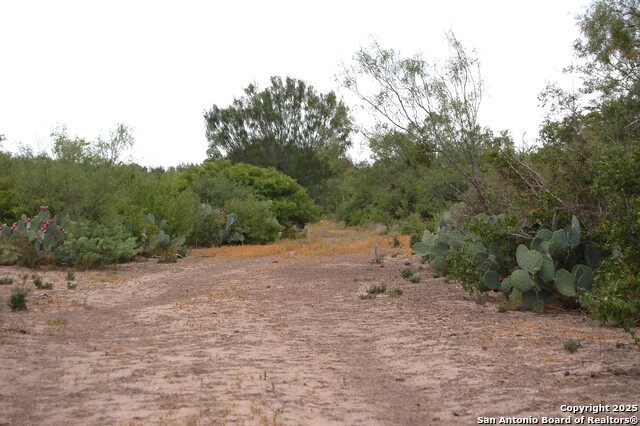 Listing photo id 15 for 634 West  