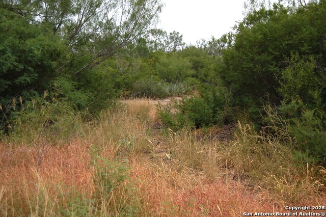 Listing photo id 16 for 634 West  