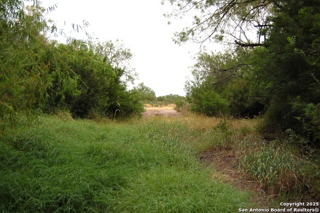 Listing photo id 17 for 634 West  