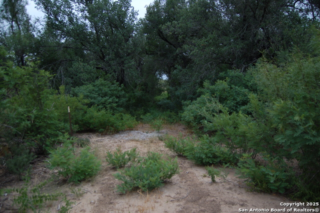 Listing photo id 0 for 634 West  