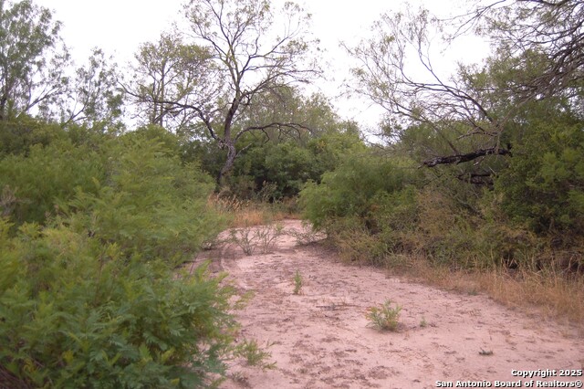 Listing photo id 18 for 634 West  