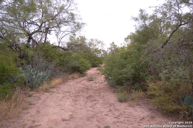 Listing photo id 19 for 634 West  