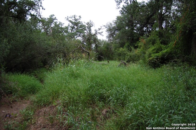 Listing photo id 1 for 634 West  